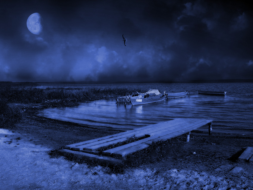 solitary flight ( )